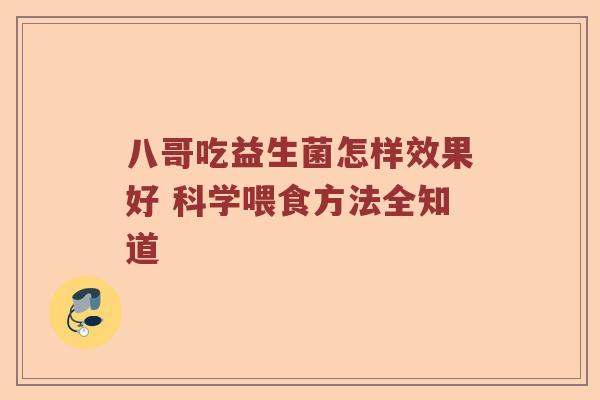 八哥吃益生菌怎样效果好 科学喂食方法全知道