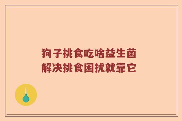 狗子挑食吃啥益生菌 解决挑食困扰就靠它