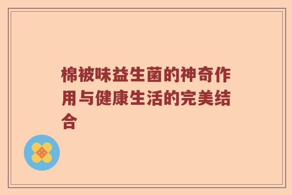 棉被味益生菌的神奇作用与健康生活的完美结合