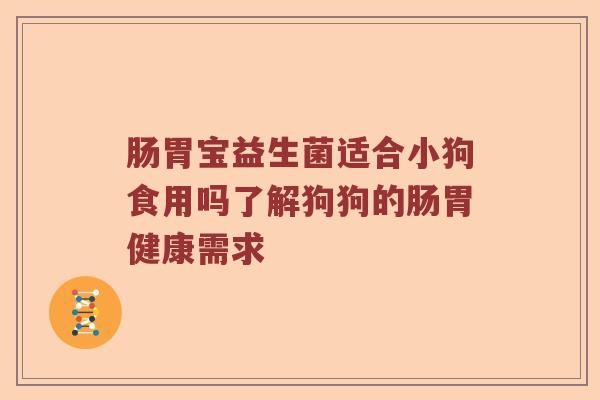 肠胃宝益生菌适合小狗食用吗了解狗狗的肠胃健康需求