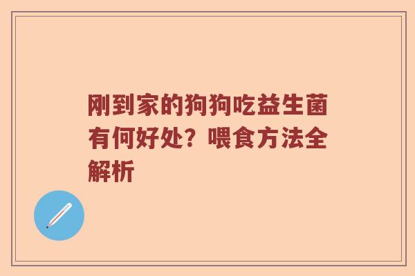 刚到家的狗狗吃益生菌有何好处？喂食方法全解析