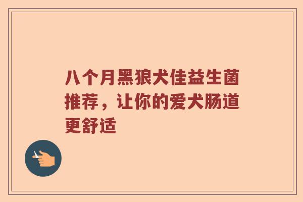 八个月黑狼犬佳益生菌推荐，让你的爱犬肠道更舒适