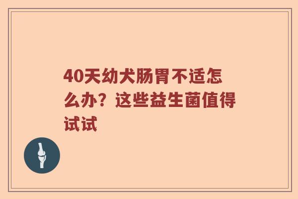 40天幼犬肠胃不适怎么办？这些益生菌值得试试