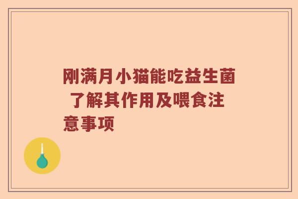 刚满月小猫能吃益生菌 了解其作用及喂食注意事项