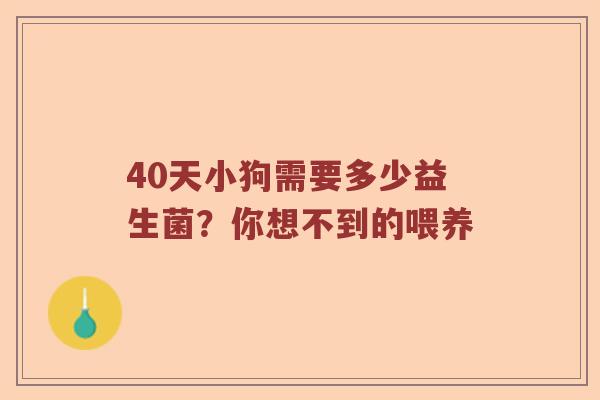 40天小狗需要多少益生菌？你想不到的喂养