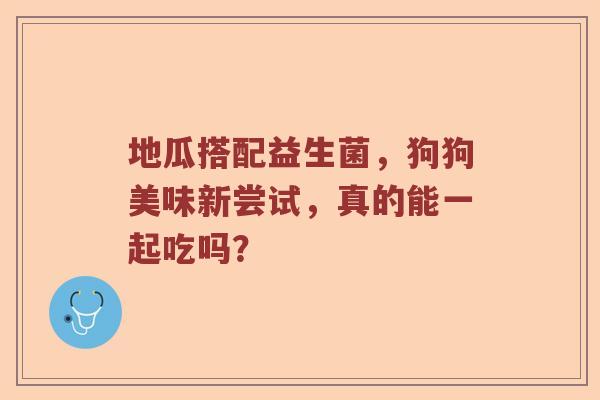 地瓜搭配益生菌，狗狗美味新尝试，真的能一起吃吗？