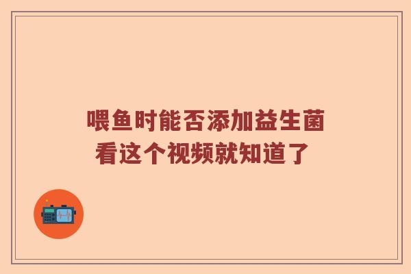 喂鱼时能否添加益生菌 看这个视频就知道了