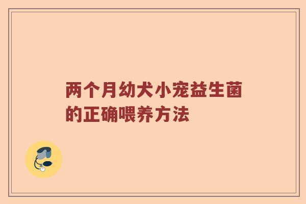 两个月幼犬小宠益生菌的正确喂养方法