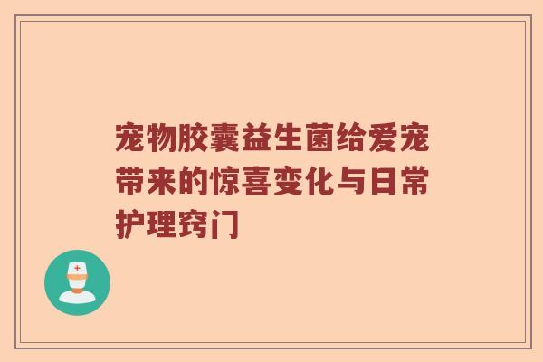 宠物胶囊益生菌给爱宠带来的惊喜变化与日常护理窍门