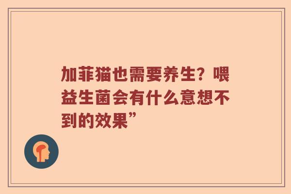 加菲猫也需要养生？喂益生菌会有什么意想不到的效果”