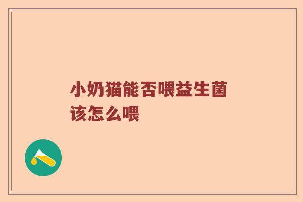小奶猫能否喂益生菌 该怎么喂