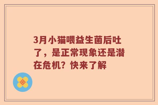 3月小猫喂益生菌后吐了，是正常现象还是潜在危机？快来了解