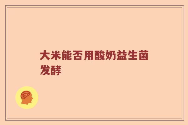大米能否用酸奶益生菌发酵