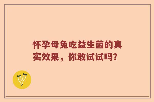怀孕母兔吃益生菌的真实效果，你敢试试吗？