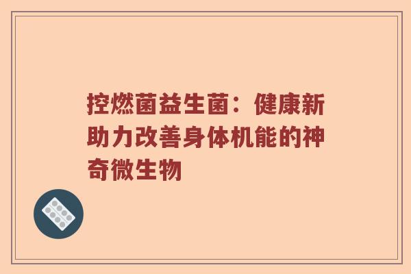 控燃菌益生菌：健康新助力改善身体机能的神奇微生物