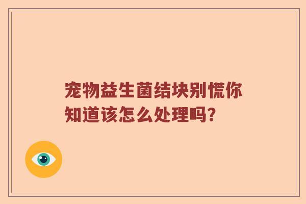 宠物益生菌结块别慌你知道该怎么处理吗？