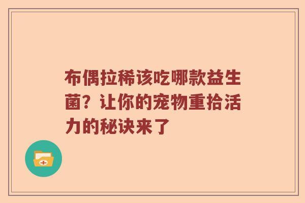 布偶拉稀该吃哪款益生菌？让你的宠物重拾活力的秘诀来了