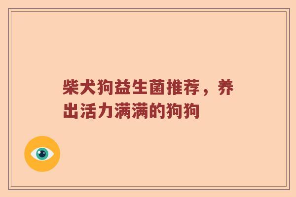 柴犬狗益生菌推荐，养出活力满满的狗狗