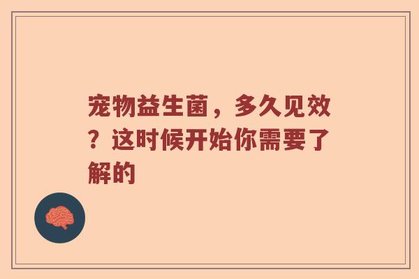 宠物益生菌，多久见效？这时候开始你需要了解的