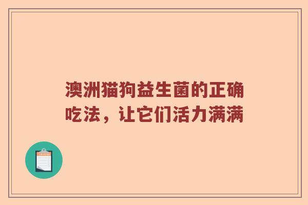 澳洲猫狗益生菌的正确吃法，让它们活力满满