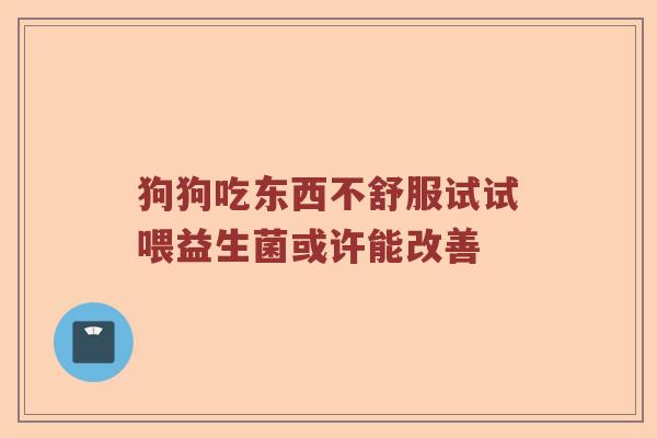 狗狗吃东西不舒服试试喂益生菌或许能改善
