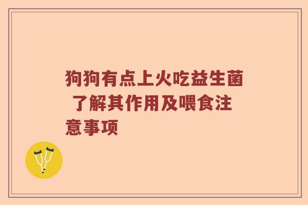 狗狗有点上火吃益生菌 了解其作用及喂食注意事项