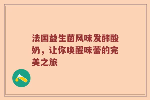 法国益生菌风味发酵酸奶，让你唤醒味蕾的完美之旅