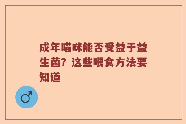 成年喵咪能否受益于益生菌？这些喂食方法要知道