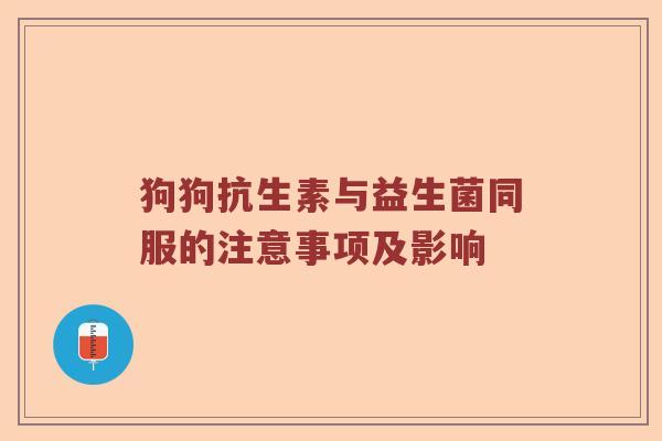 狗狗抗生素与益生菌同服的注意事项及影响