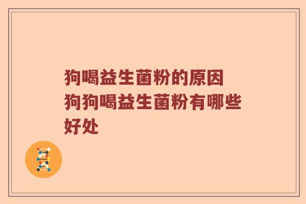 狗喝益生菌粉的原因 狗狗喝益生菌粉有哪些好处