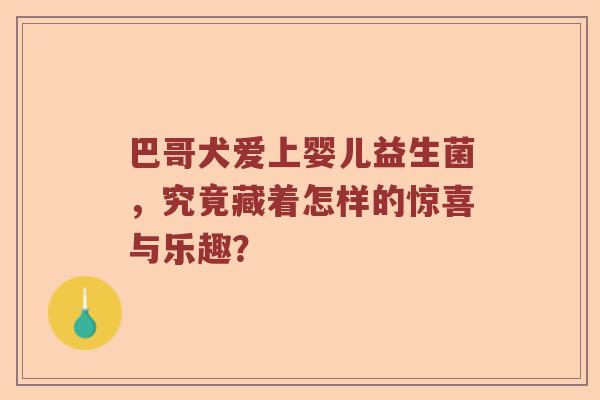 巴哥犬爱上婴儿益生菌，究竟藏着怎样的惊喜与乐趣？