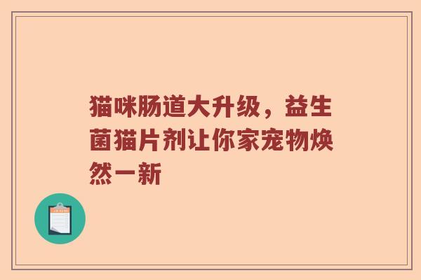 猫咪肠道大升级，益生菌猫片剂让你家宠物焕然一新