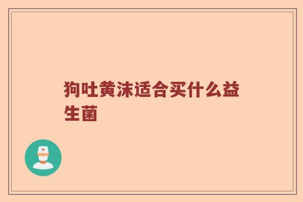 狗吐黄沫适合买什么益生菌
