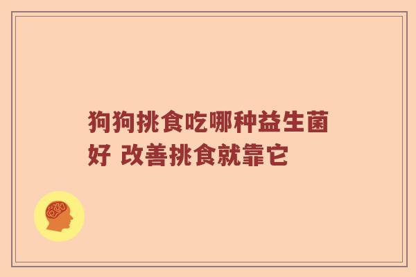 狗狗挑食吃哪种益生菌好 改善挑食就靠它
