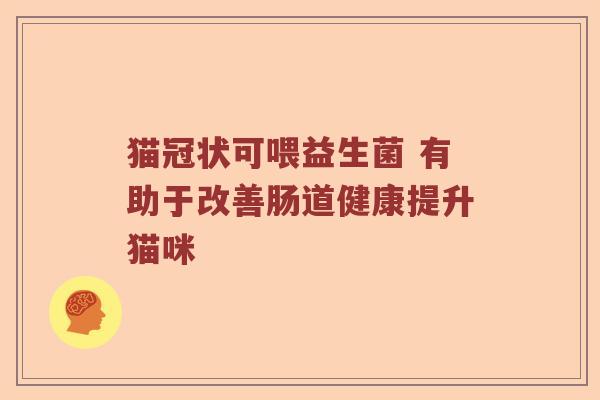 猫冠状可喂益生菌 有助于改善肠道健康提升猫咪