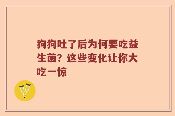 狗狗吐了后为何要吃益生菌？这些变化让你大吃一惊
