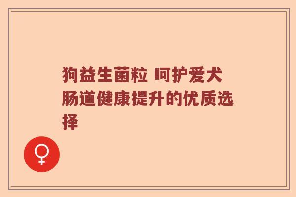 狗益生菌粒 呵护爱犬肠道健康提升的优质选择