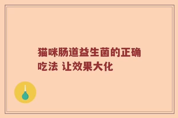 猫咪肠道益生菌的正确吃法 让效果大化