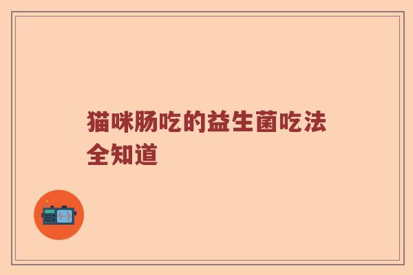 猫咪肠吃的益生菌吃法全知道