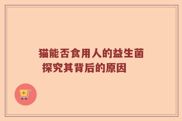 猫能否食用人的益生菌 探究其背后的原因