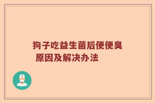 狗子吃益生菌后便便臭 原因及解决办法