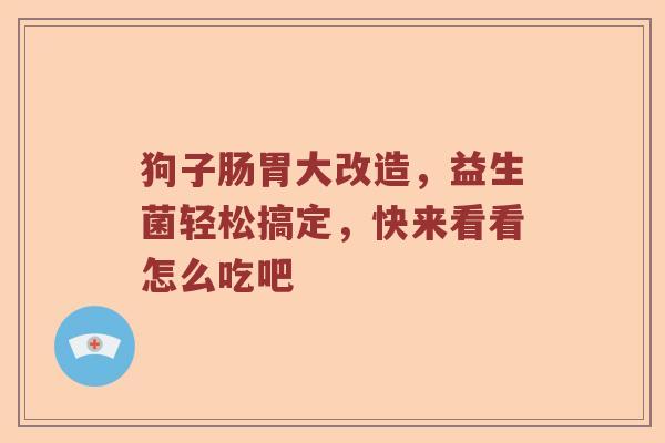 狗子肠胃大改造，益生菌轻松搞定，快来看看怎么吃吧