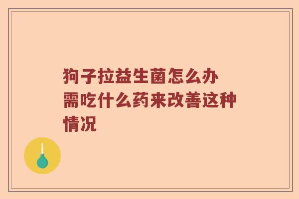 狗子拉益生菌怎么办 需吃什么药来改善这种情况