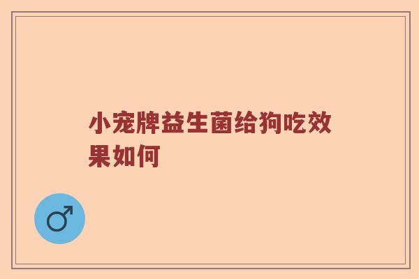 小宠牌益生菌给狗吃效果如何