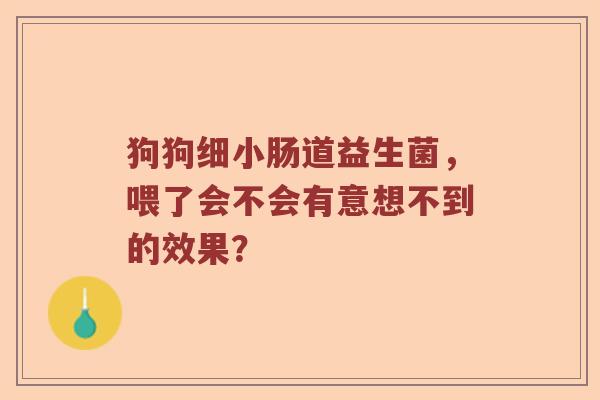 狗狗细小肠道益生菌，喂了会不会有意想不到的效果？