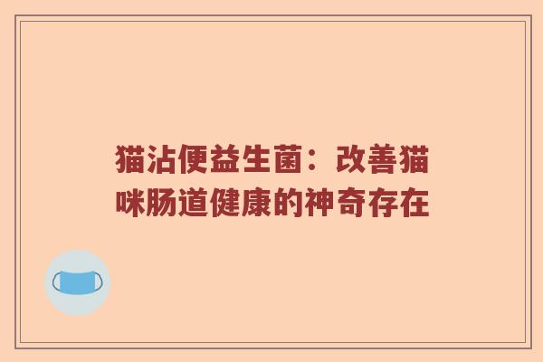 猫沾便益生菌：改善猫咪肠道健康的神奇存在