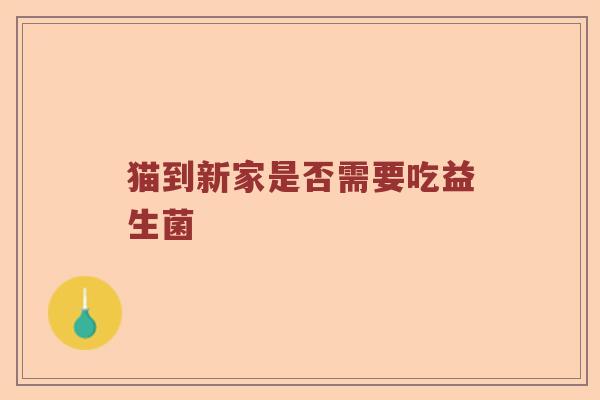 猫到新家是否需要吃益生菌