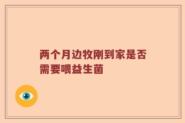 两个月边牧刚到家是否需要喂益生菌