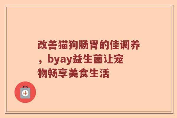 改善猫狗肠胃的佳调养，byay益生菌让宠物畅享美食生活