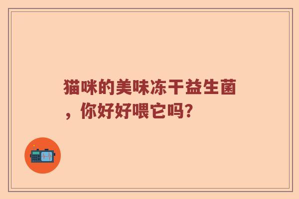 猫咪的美味冻干益生菌，你好好喂它吗？